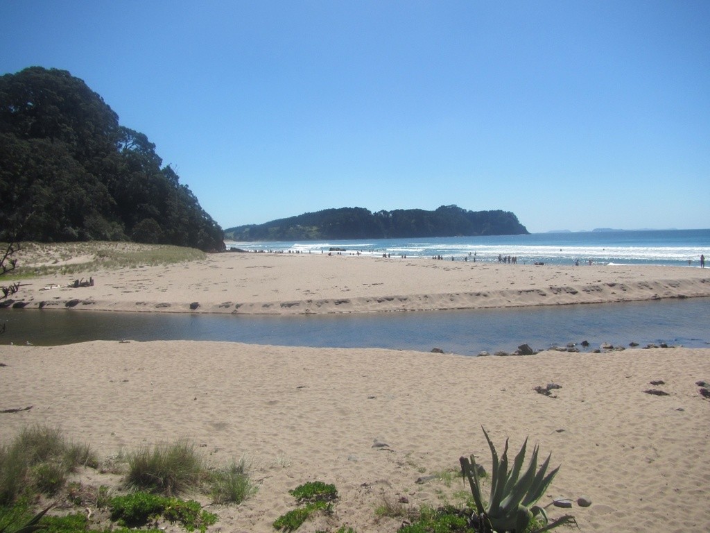 Hot Water Beach at Surf life saving club