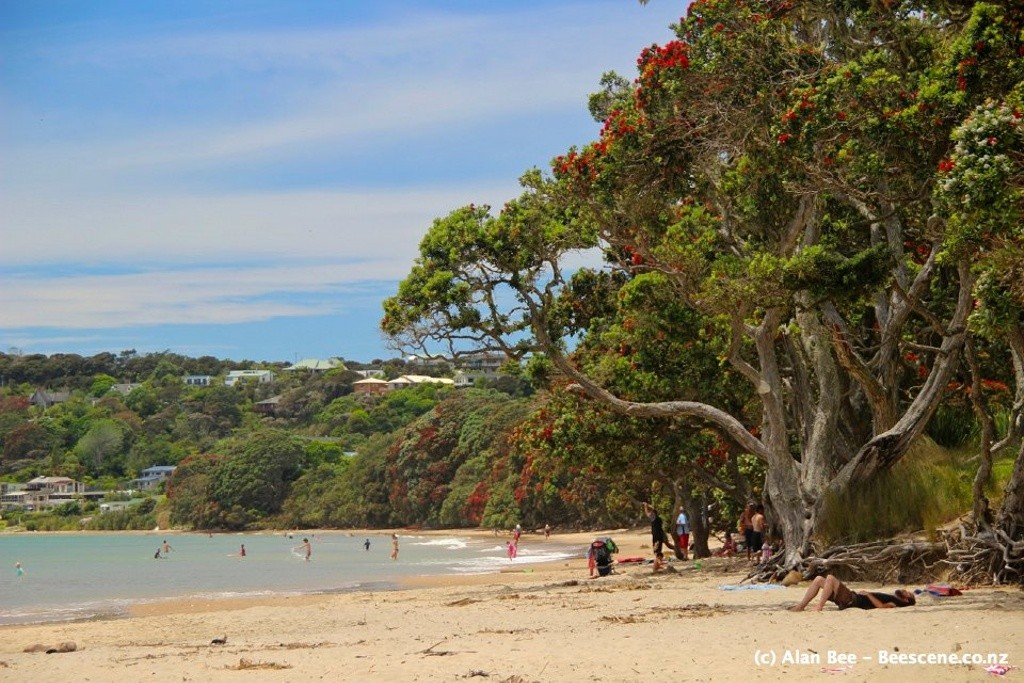 Cooper's Beach