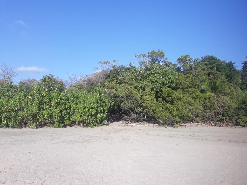 Baker's Beach (Matapalo), Playa Guiones