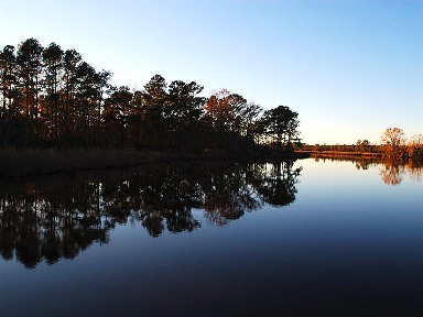 Adams Creek (C84)