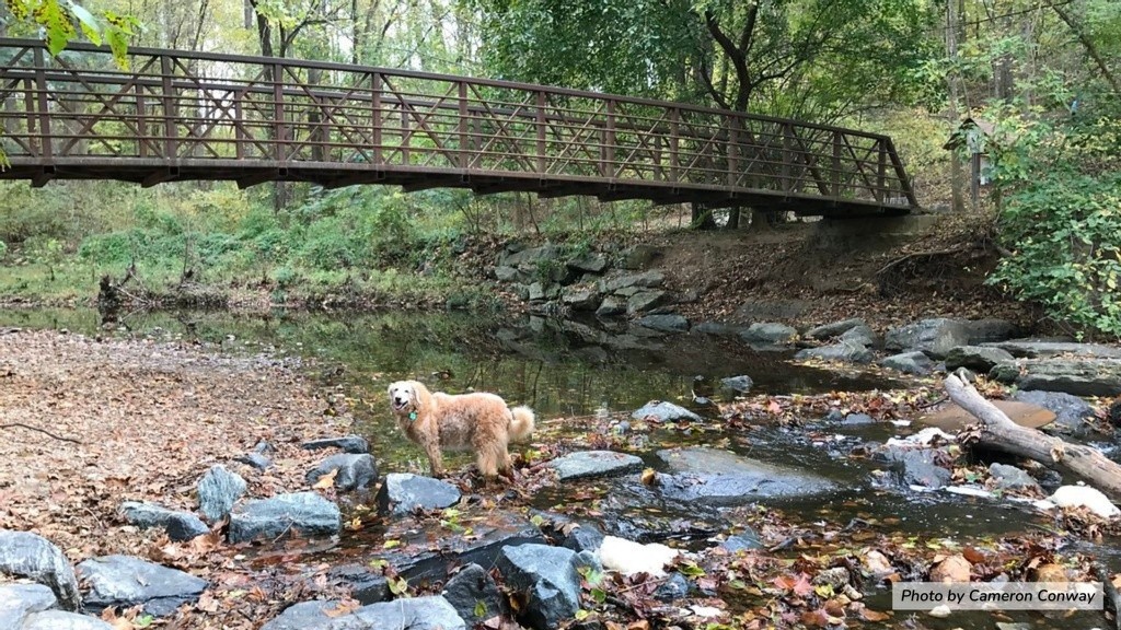 Little Falls Creek at the First Pedestrian Bridge