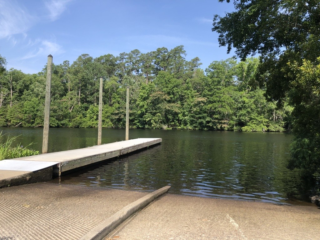 Black River - Browns Ferry Landing