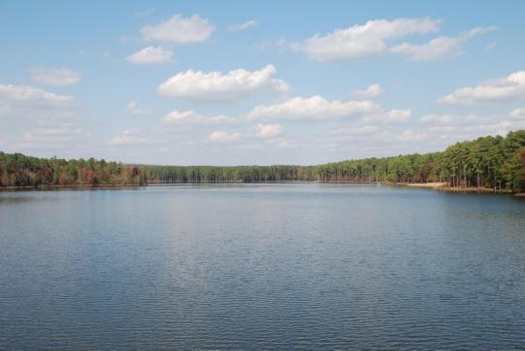 Jordan Lake - Vista Point