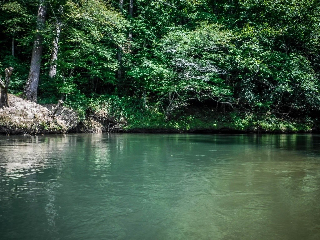 French Broad at Island Ford