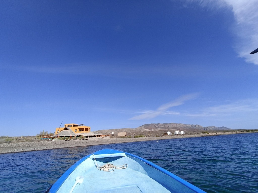 La Picazón