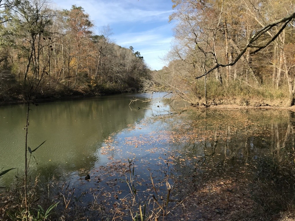 Cahaba Beach Road