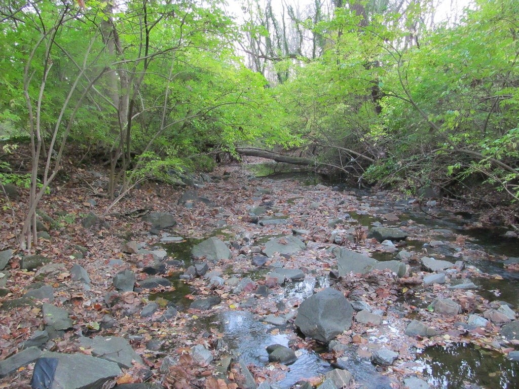 Willett Branch Bethesda Pool