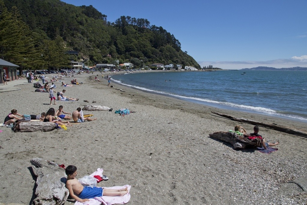 Days Bay at Moana Road