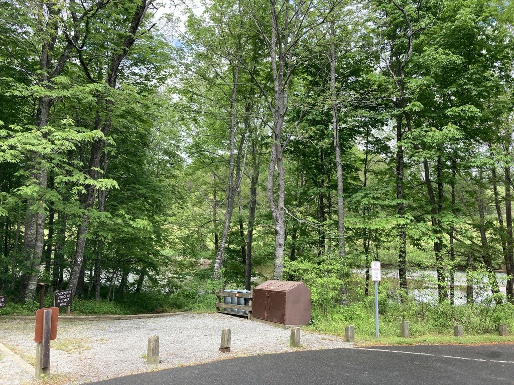 New River State Park Wagoner Access, South Fork New River Swim Guide