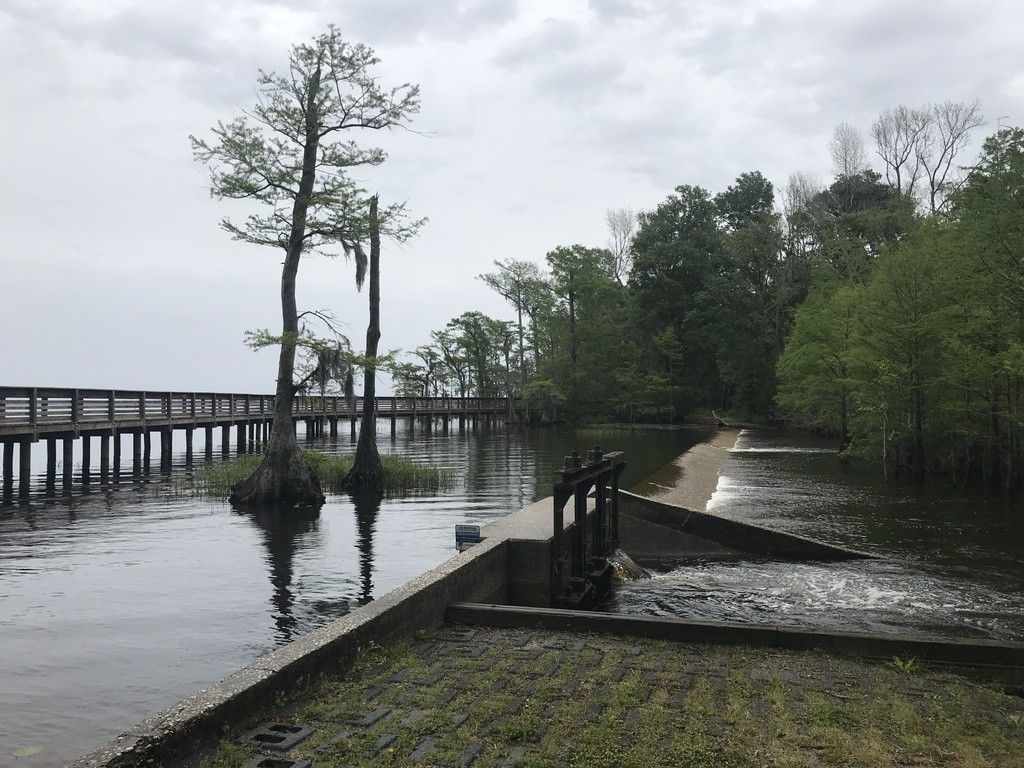 Lake Waccamaw Dam Swim Guide