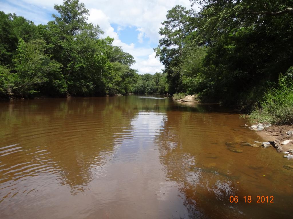 Choctawhatchee River at Hutto Park, Newton. Alabama