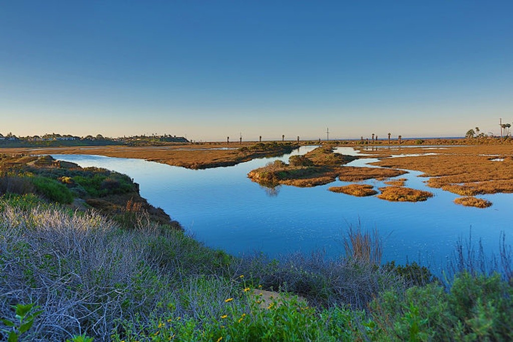Cardiff State Beach - San Elijo Lagoon outlet