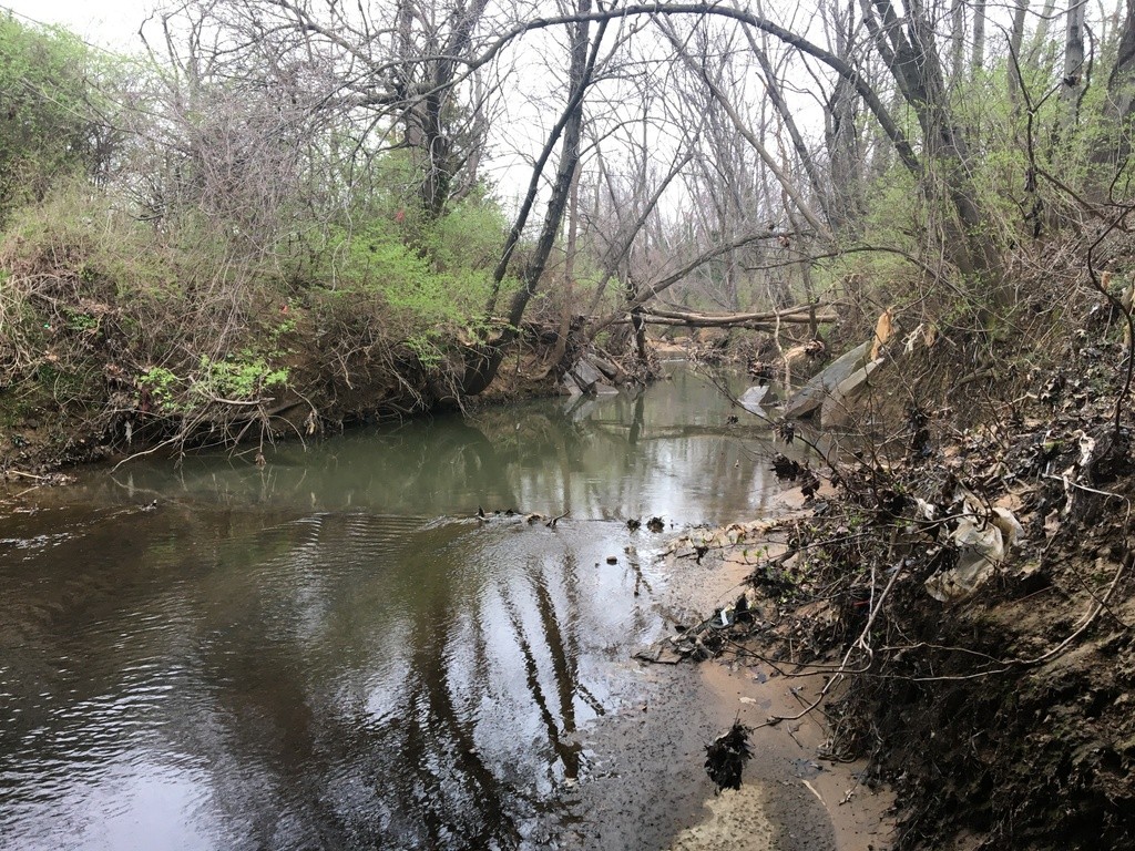 Anacostia River - Lower Beaverdam Creek