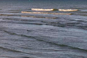 Arcadia Beach