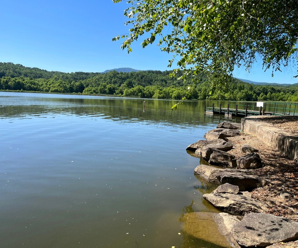Lake Adger Marina