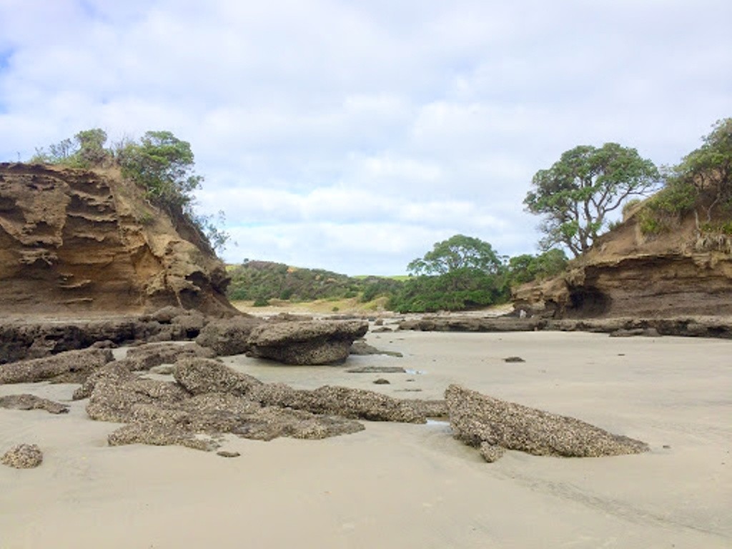 Anchor Bay at Tawharanui beach