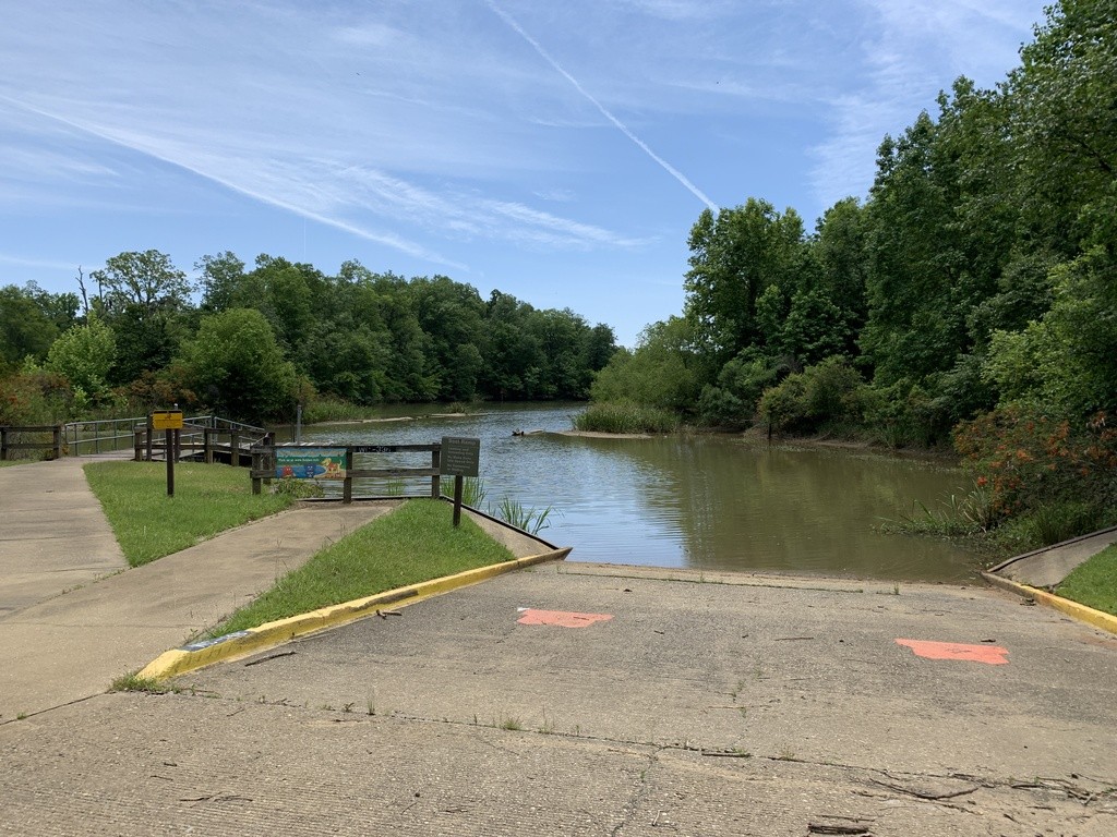 Bluff Creek Campground Swim Guide