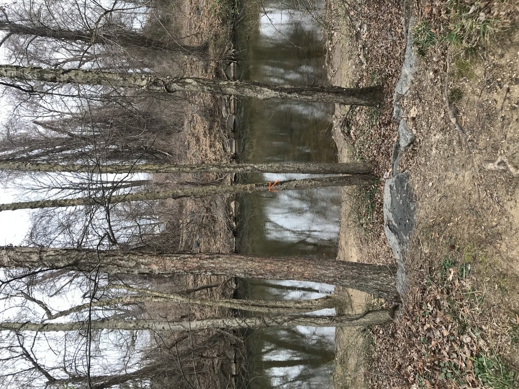 Anacostia River - Northeast Branch at Campus Drive