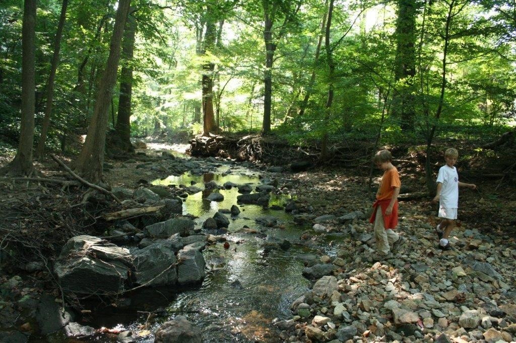 Little Falls Creek in Somerset