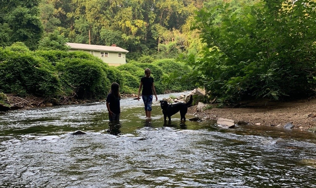 Little Falls Creek in Brookmont