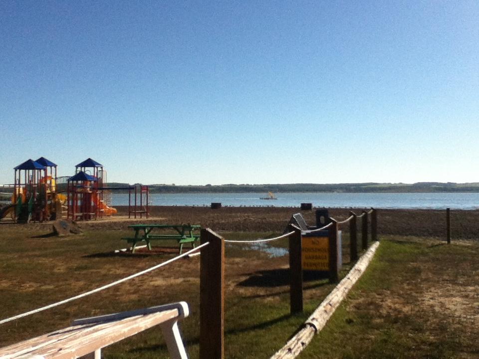 Parkland Summer Village Public Beach on Gull Lake Swim Guide