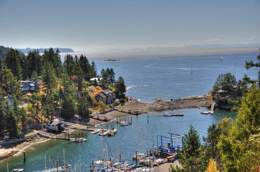 Eagle Harbour Swim Guide