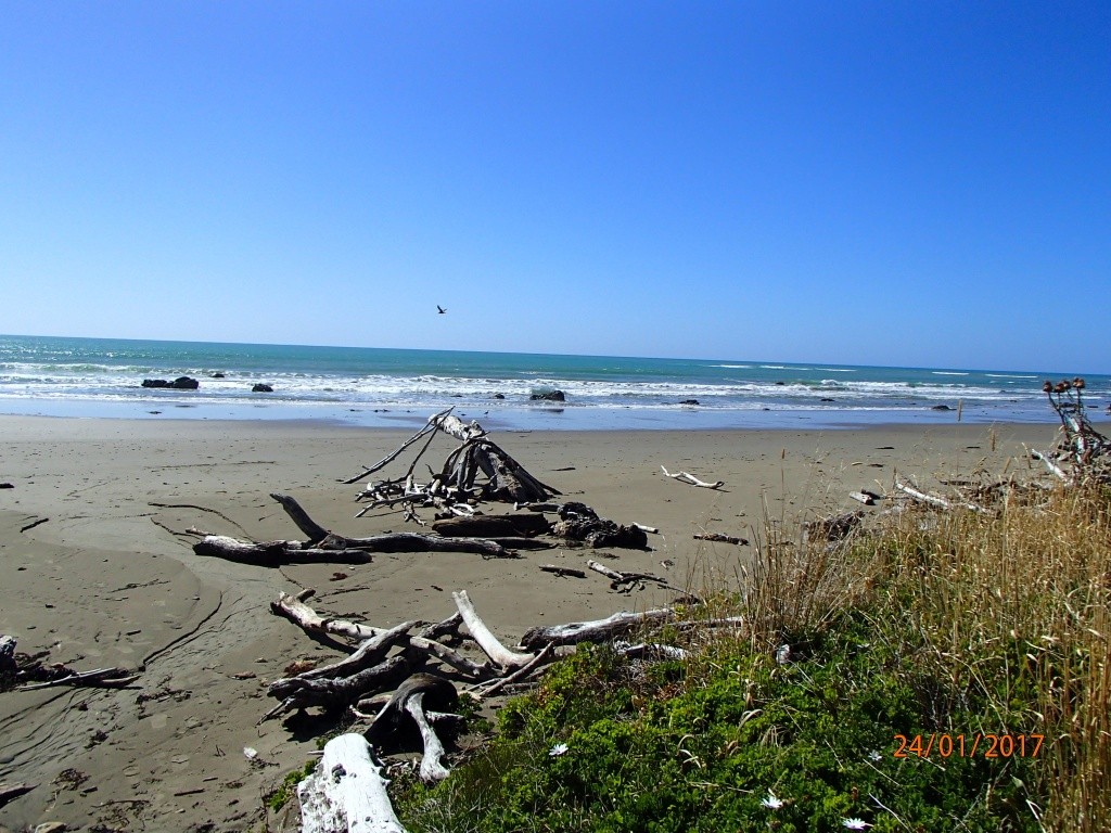 Akitio Beach at Pacific Ocean