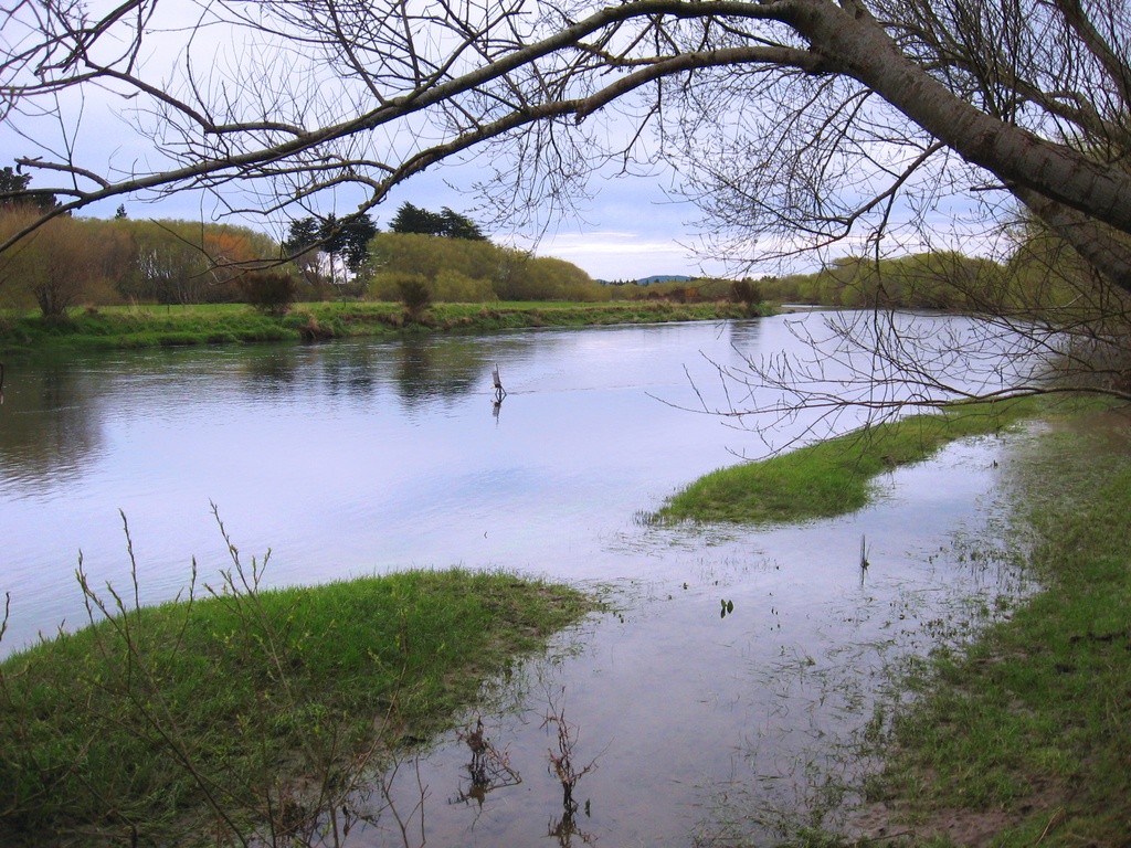 Aparima River at Thornbury