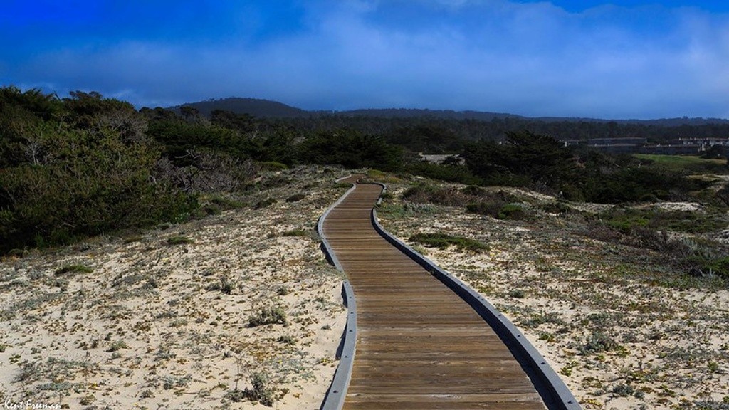 Asilomar State Beach