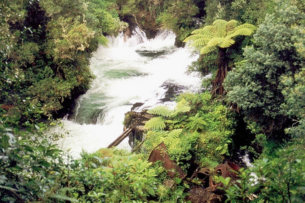 Kaituna River at Okere Falls Scenic Reserve