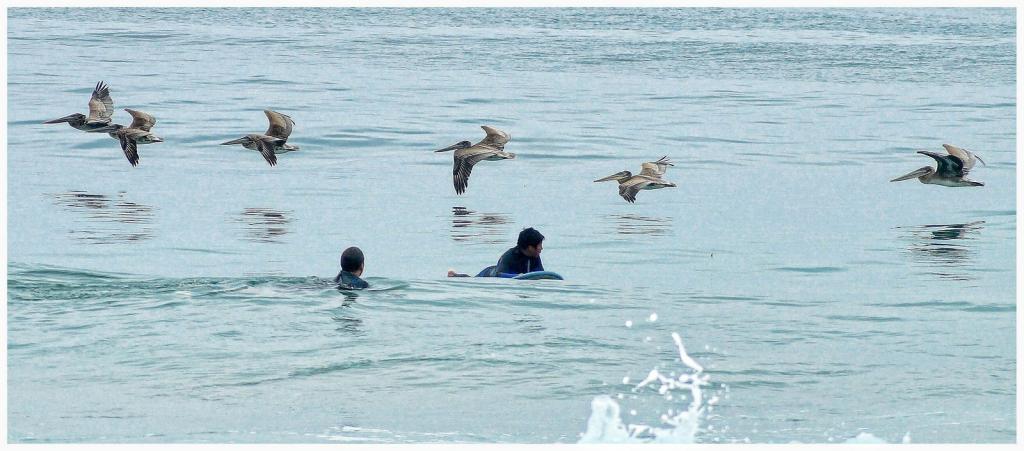 Playa Blanca