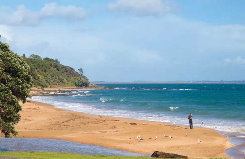 Little Cable Bay at SH10 - Swim Guide