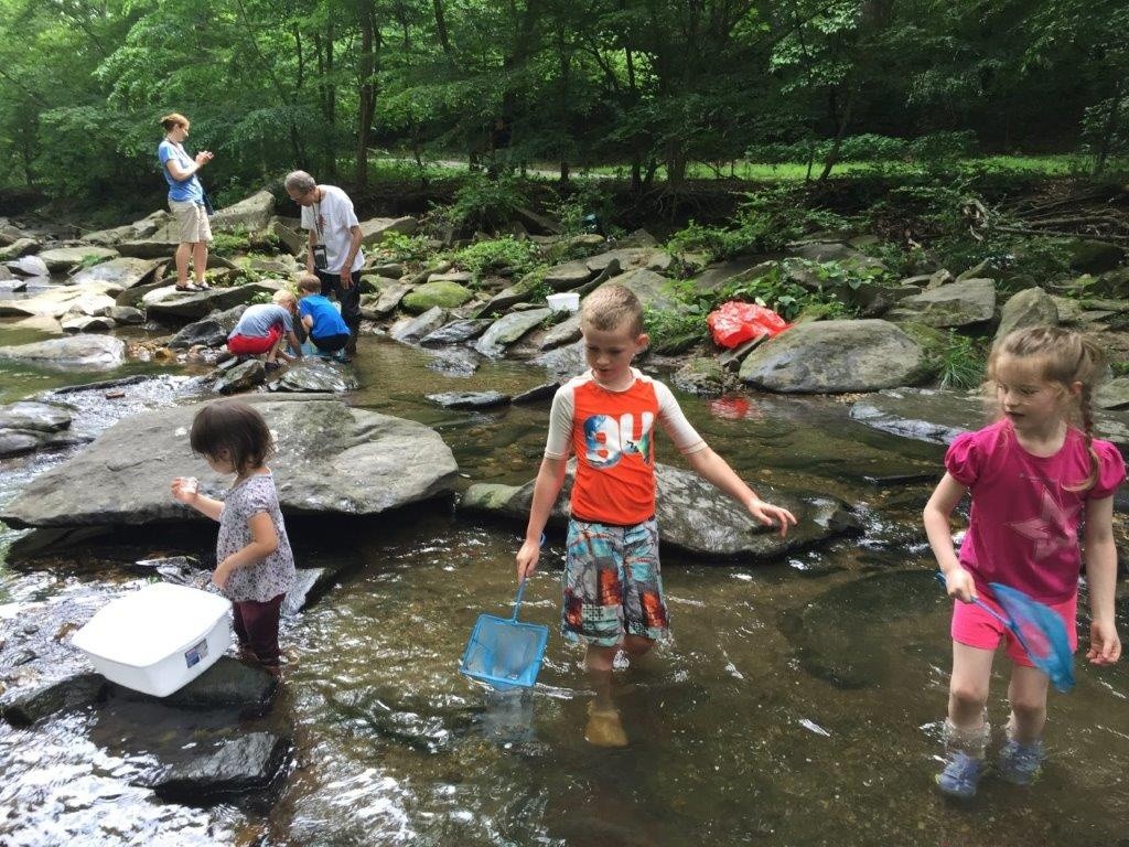 Little Falls Creek Below Massachusetts Ave