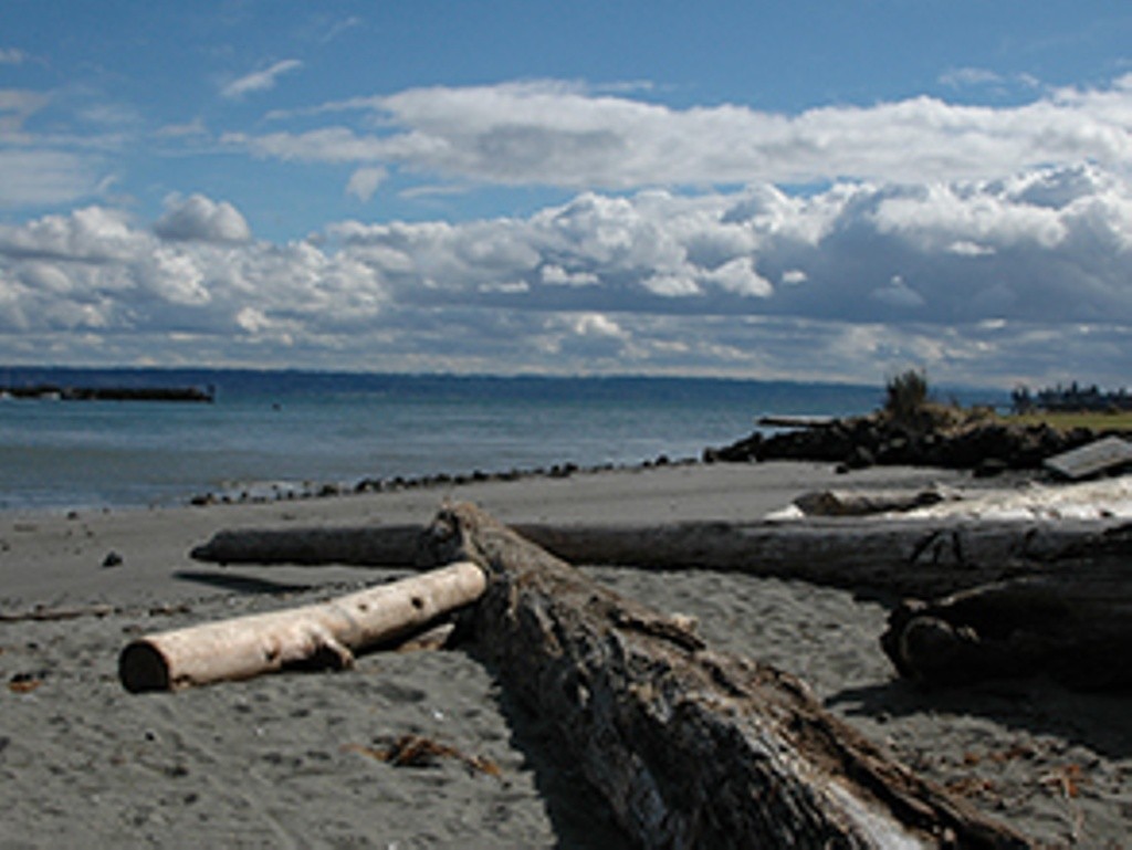 Arness County Park