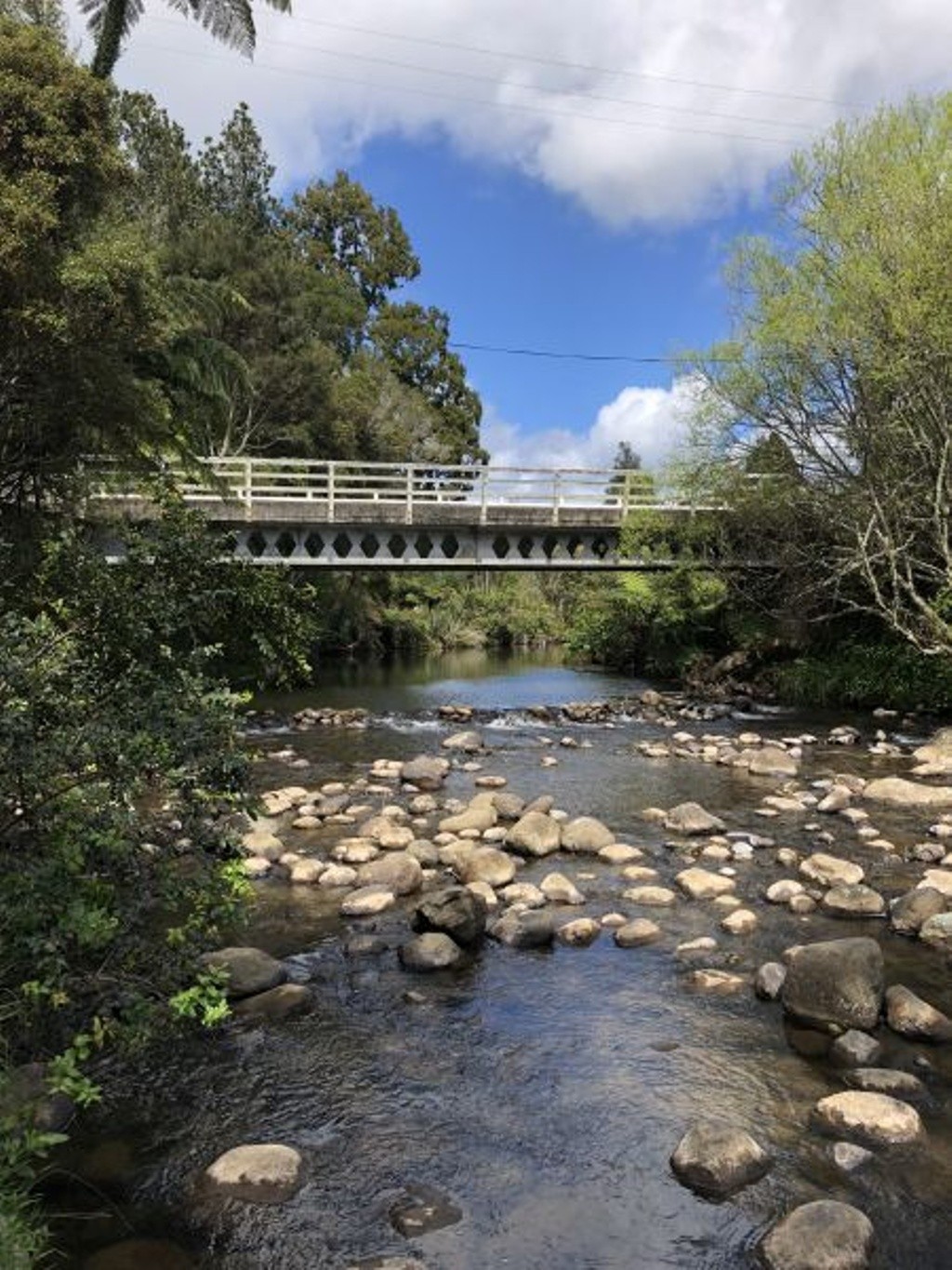 Kaniwhaniwha Stream at Limeworks Loop bridge