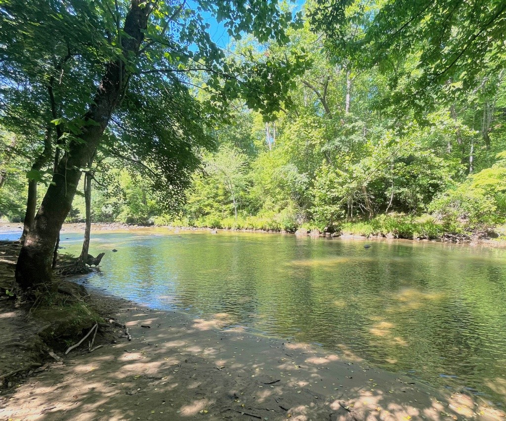 Big Rock Access - Swim Guide