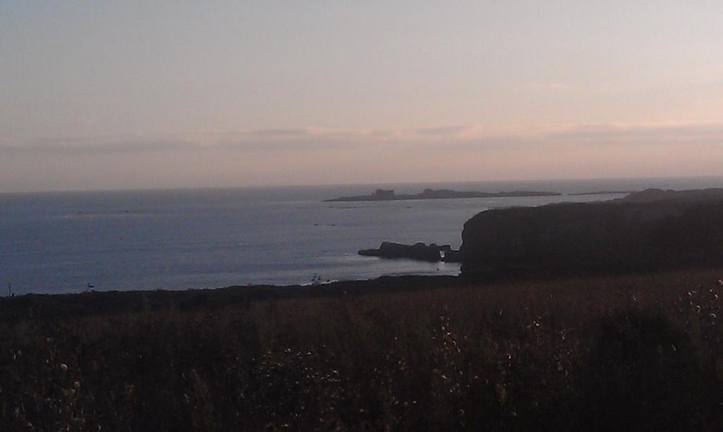 Año Nuevo State Park