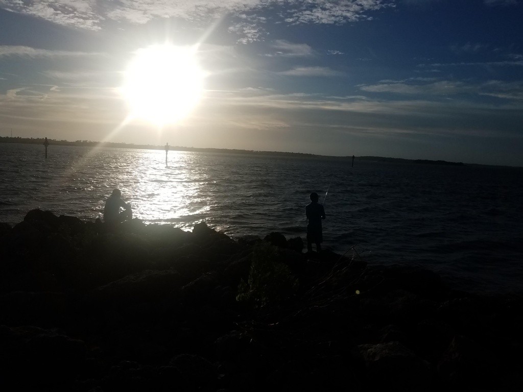 Carolina Beach State Park