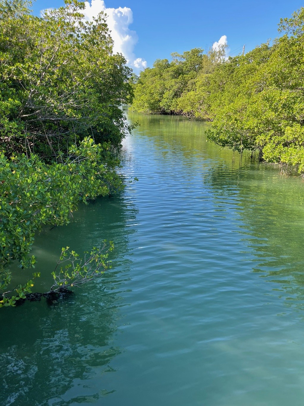 Parkview Island Kayak Launch Swim Guide