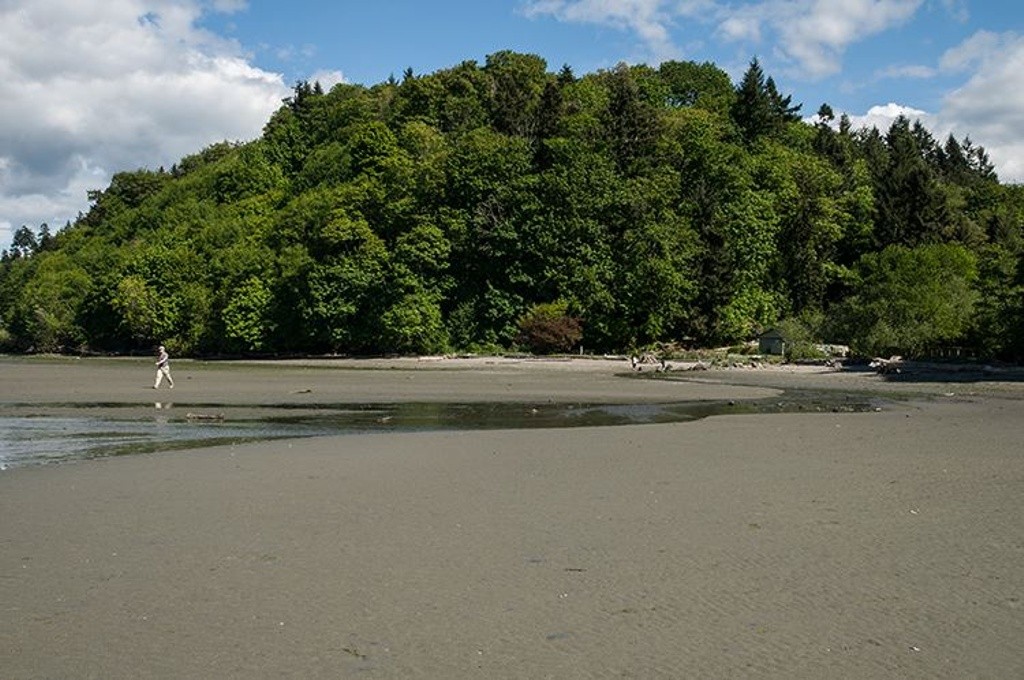Dash Point State Park | Swim Guide