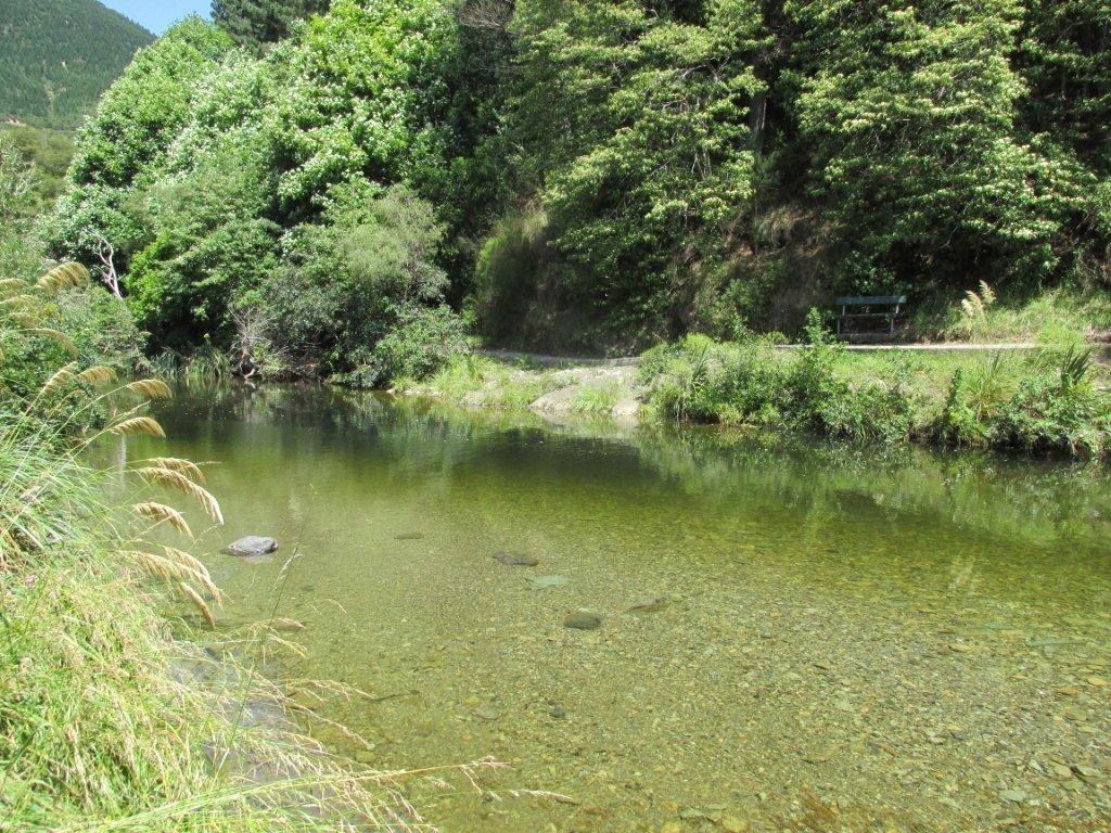 Maitai River at Maitai Camp