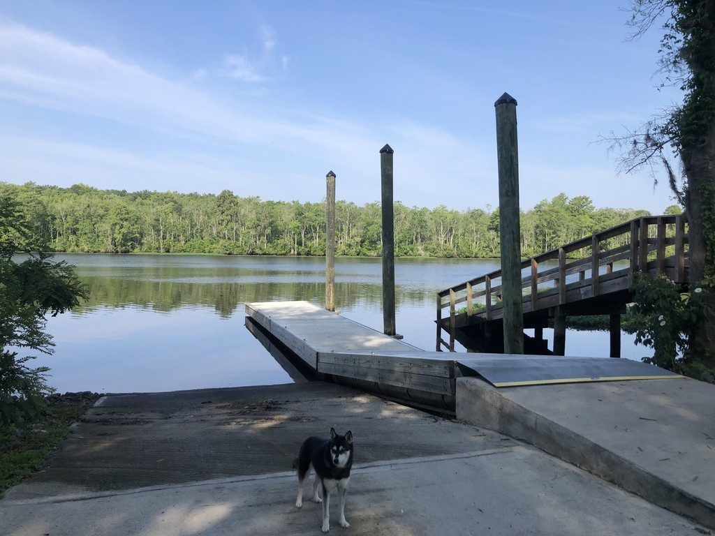 Black River - Rocky Point Community Forest