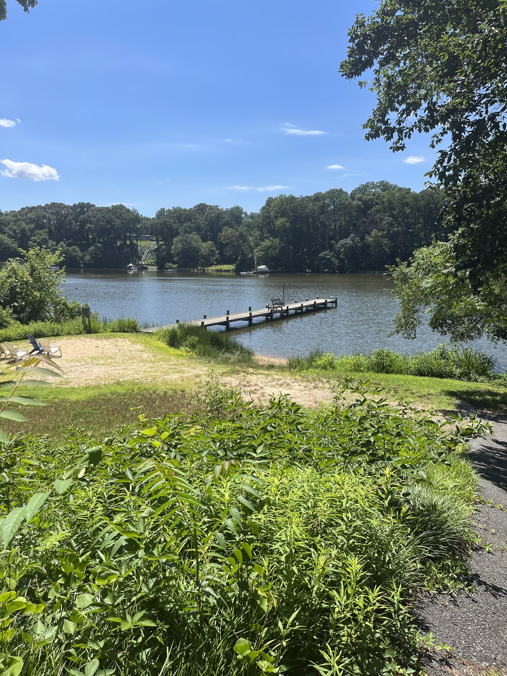 Shorewood Estates Swim Guide