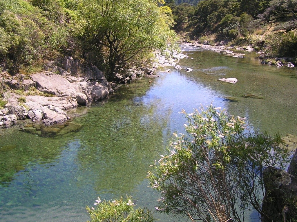 Lee River at Reserve