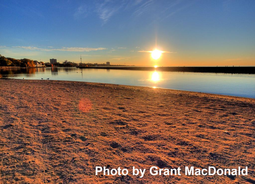 Sunnyside Swim Guide