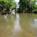 Mud Creek at Brookside Camp Rd.