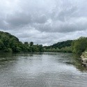 French Broad at Silverline Park