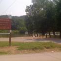 Shenandoah River at Millville Dam Tailrace