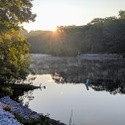 Lake Roland