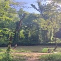 Lake James - Catawba River
